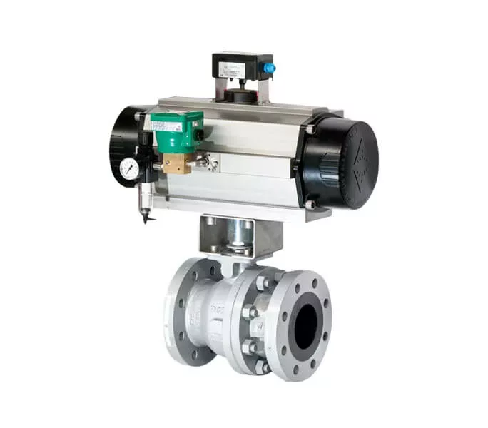 Zwick 8211 TriCon Gate Valve Replacement