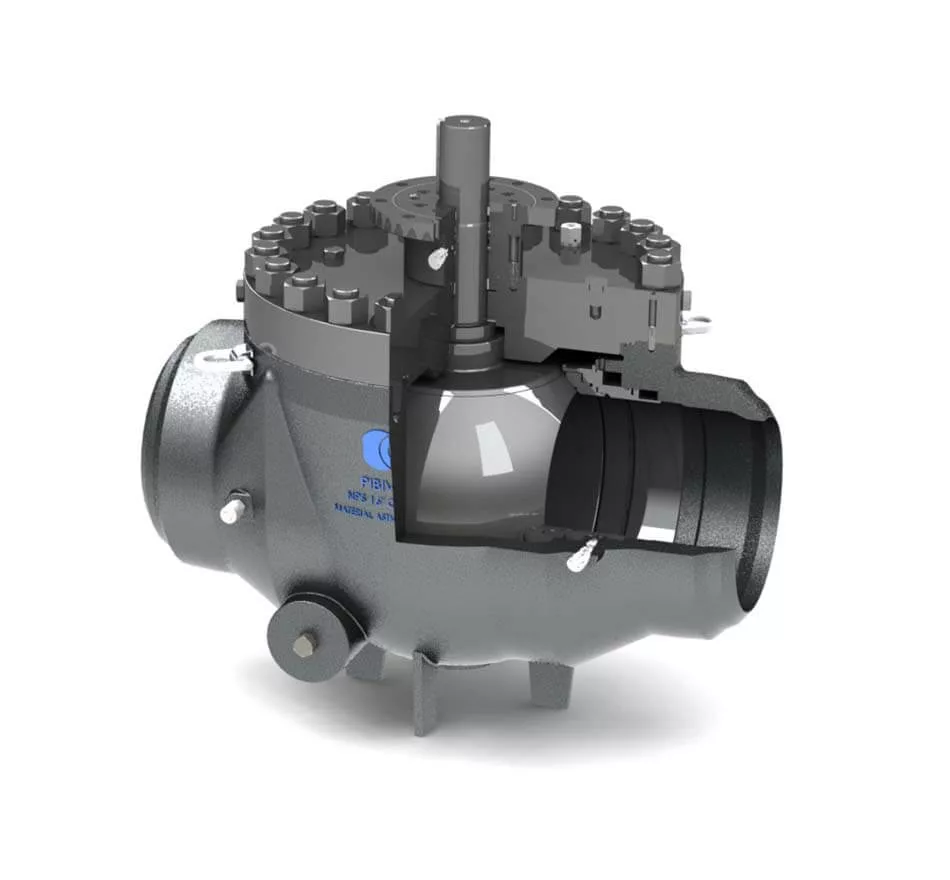 Pibiviesse – Top-Entry-Trunnion