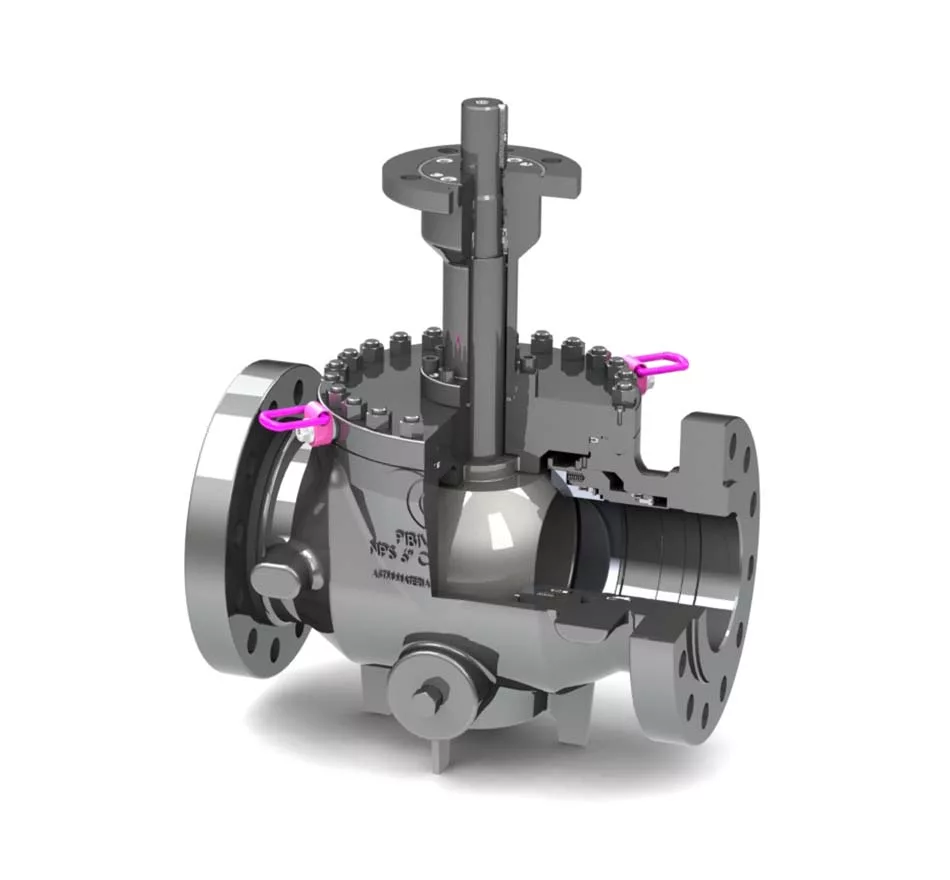Pibiviesse – Top-Trunnion-Low-Temperature
