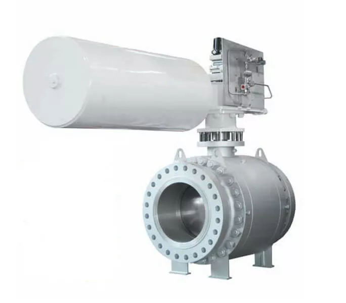 Zwick 8211 TriCon Gate Valve Replacement