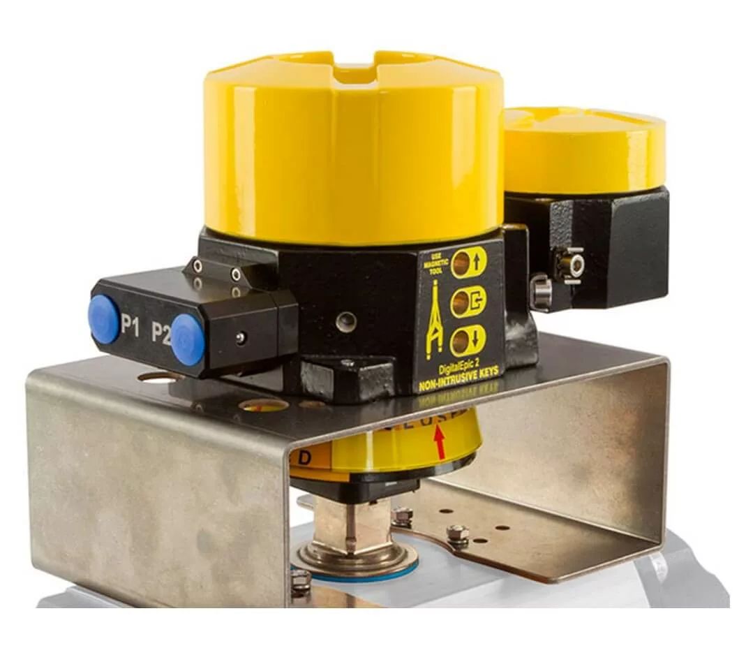 Pibiviesse 8211 Side Entry Trunnion Mounted